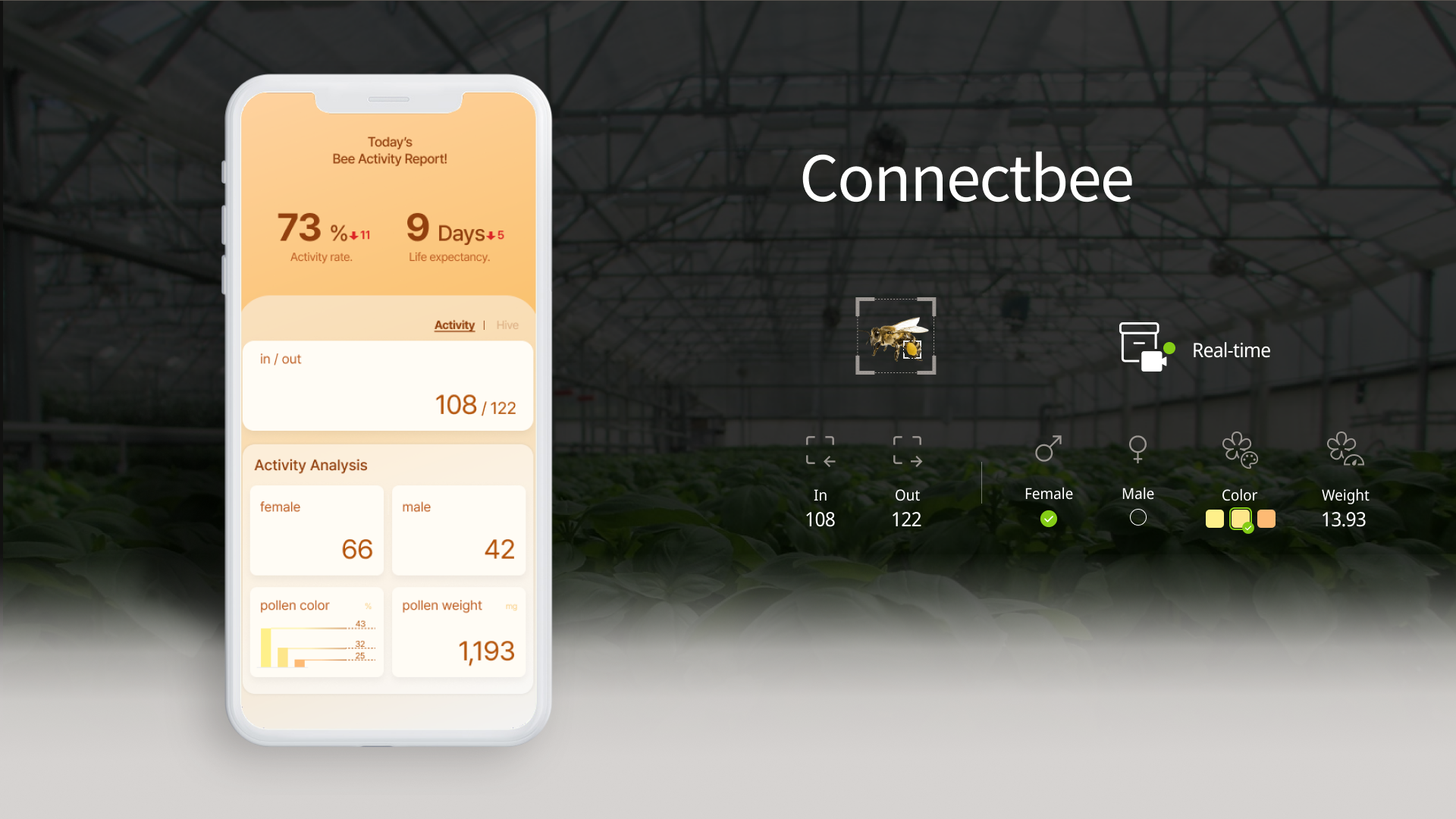 Connectbee: AI-powered bee activity and pollination tracker.
