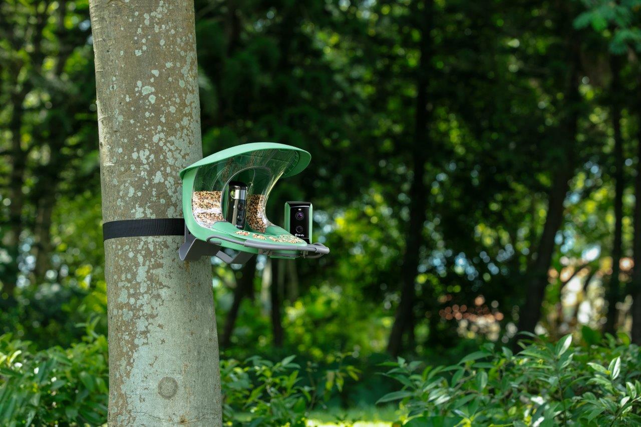 Birdfy Feeder 2 Duo, bird feeder feature a slow-motion camera