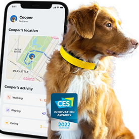 ALT Text: Smart collar for dogs to track them and see where they went through an app. Which won the CES Innovation award 2022.