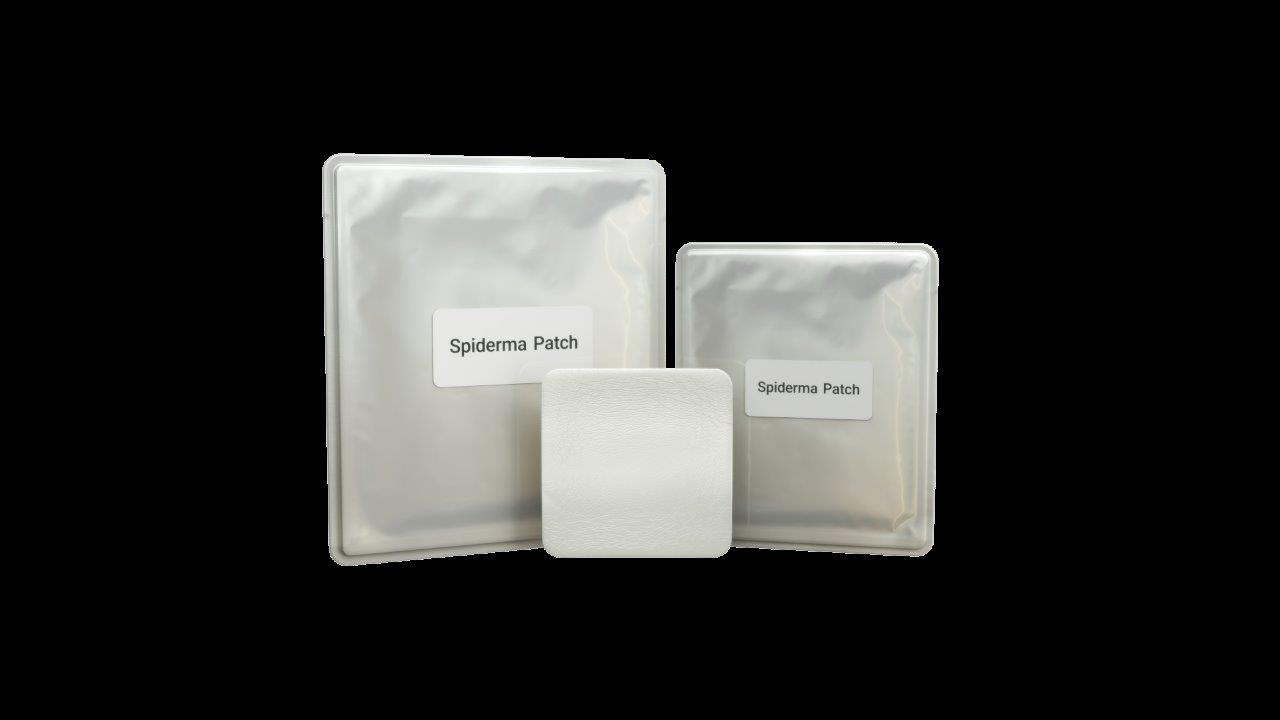 Curesilk: AI-driven spider silk wound care.